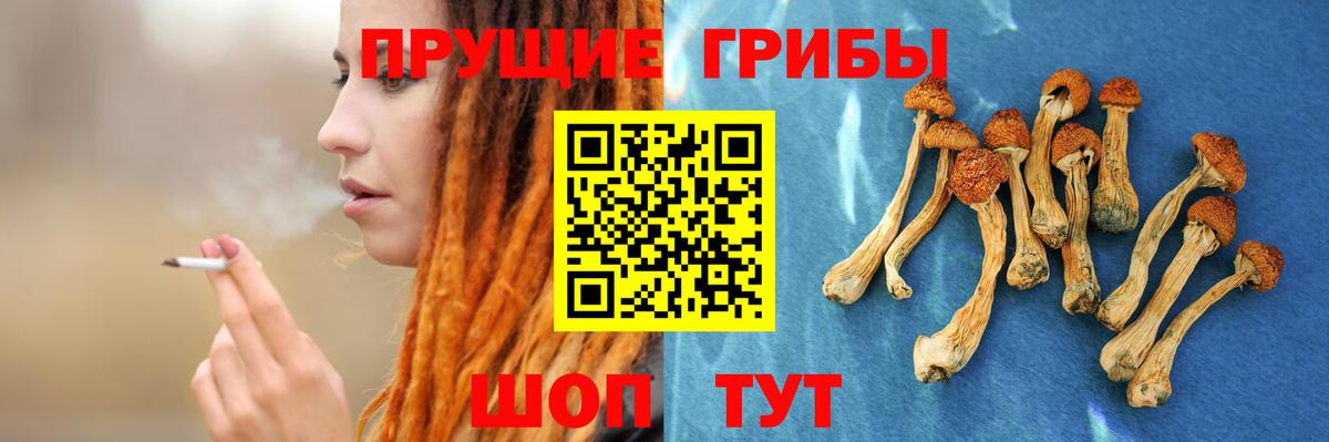 Галлюциногенные грибы Cubensis Ханты-Мансийск